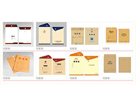 档案袋kaiyun开云网页版